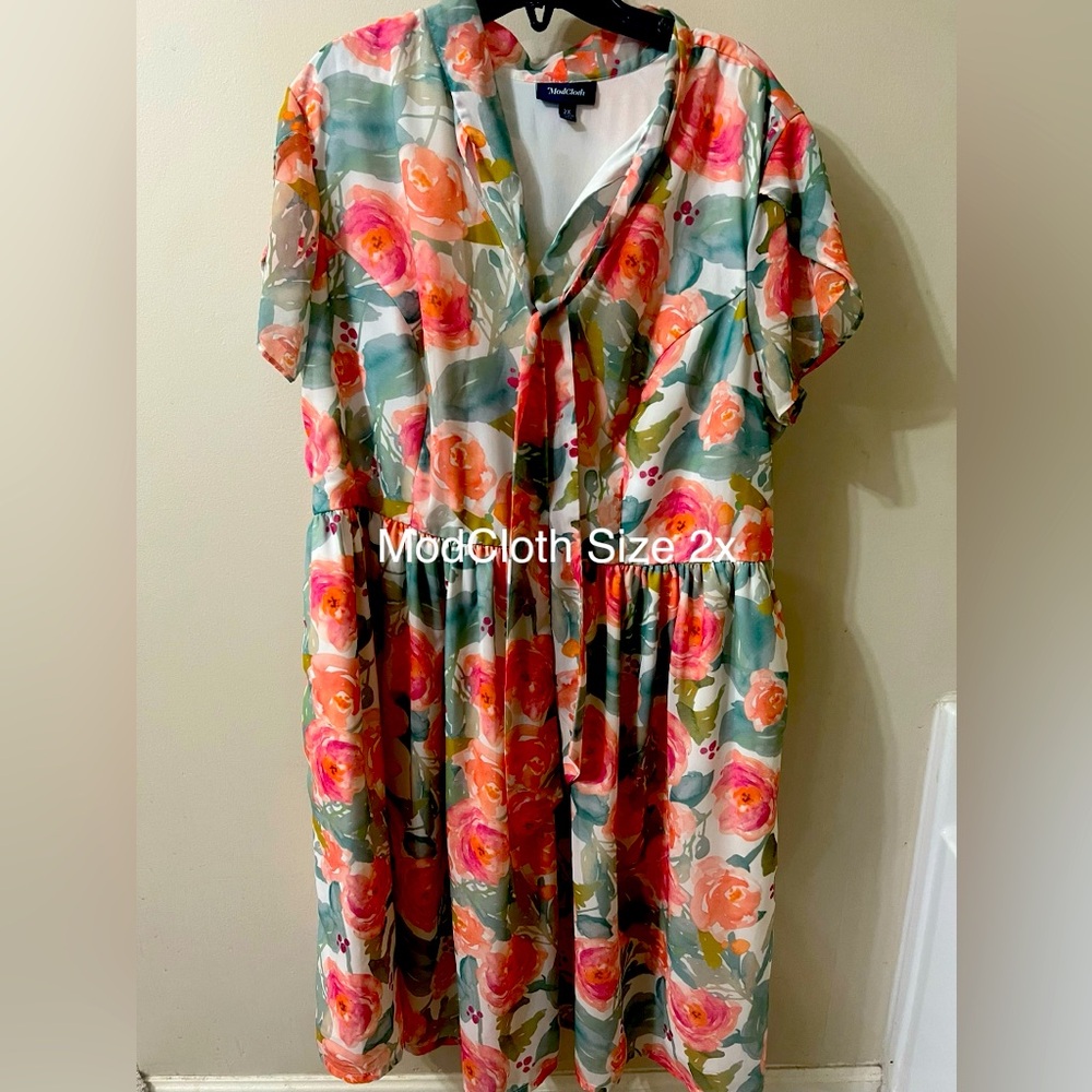Plus Size ModCloth Floral Dress